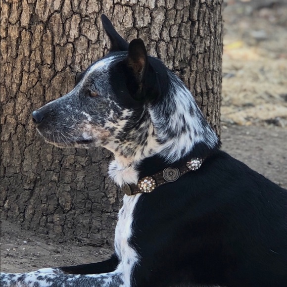 Meet your Posher, Candice - Picture 4 of 5